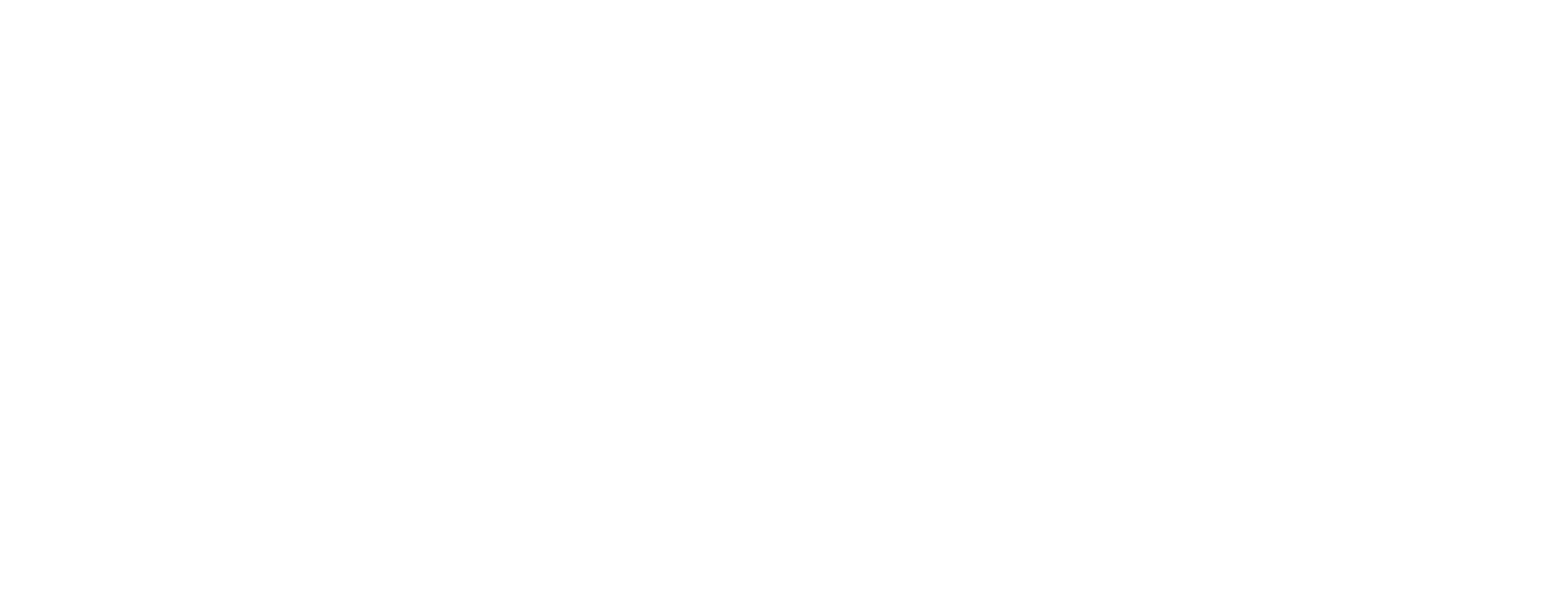 Dvir Perahya Photography Logo